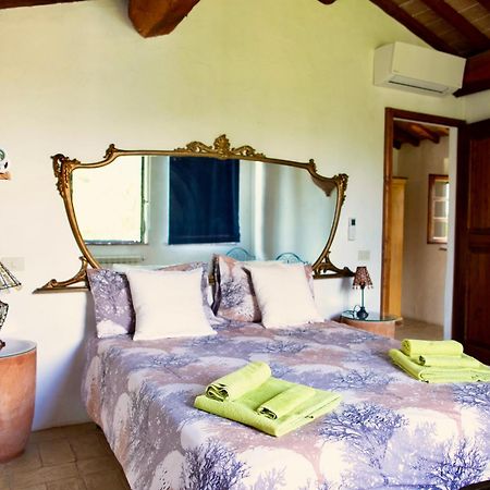 Agriturismo Quarantallina Buonconvento Kültér fotó