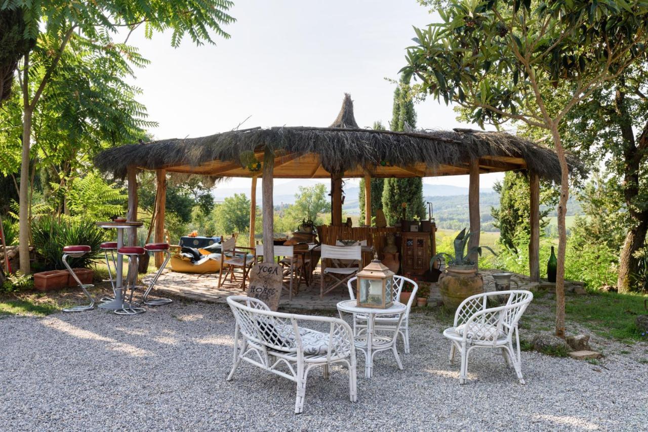 Agriturismo Quarantallina Buonconvento Kültér fotó